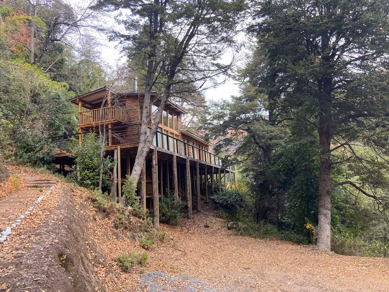 casa en medio del Bosque